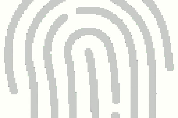 Kraken tor зеркало