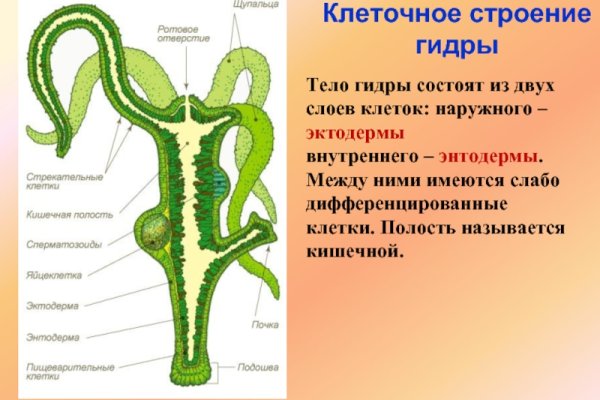 Почему не работает кракен
