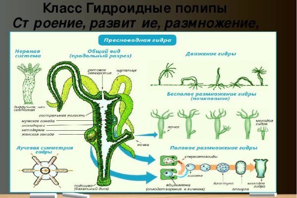 Как зайти на кракен без тора