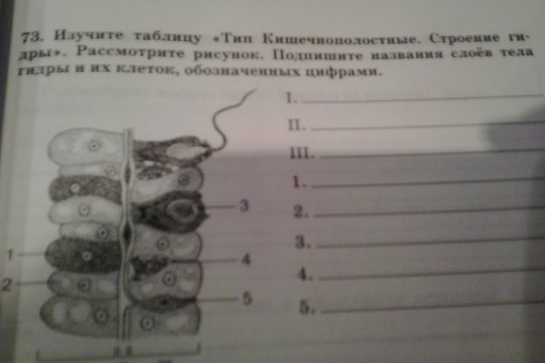 Войти даркнет