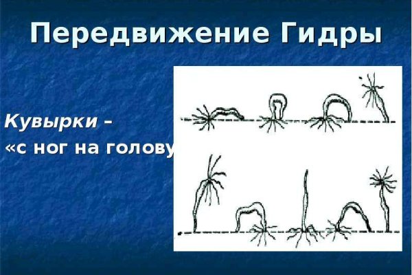 Кракен даркнет купить