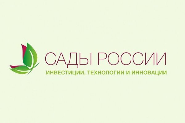Как восстановить кракен