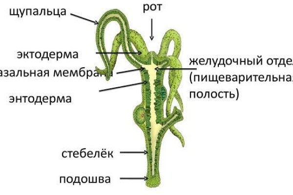 Ссылка для входа на сайт kraken