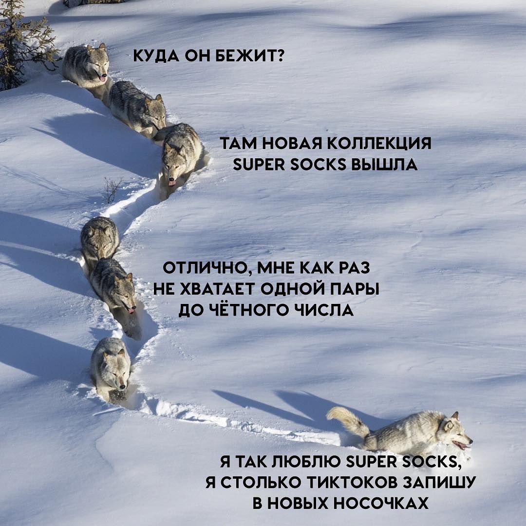 Ссылка кракен сайт зеркало